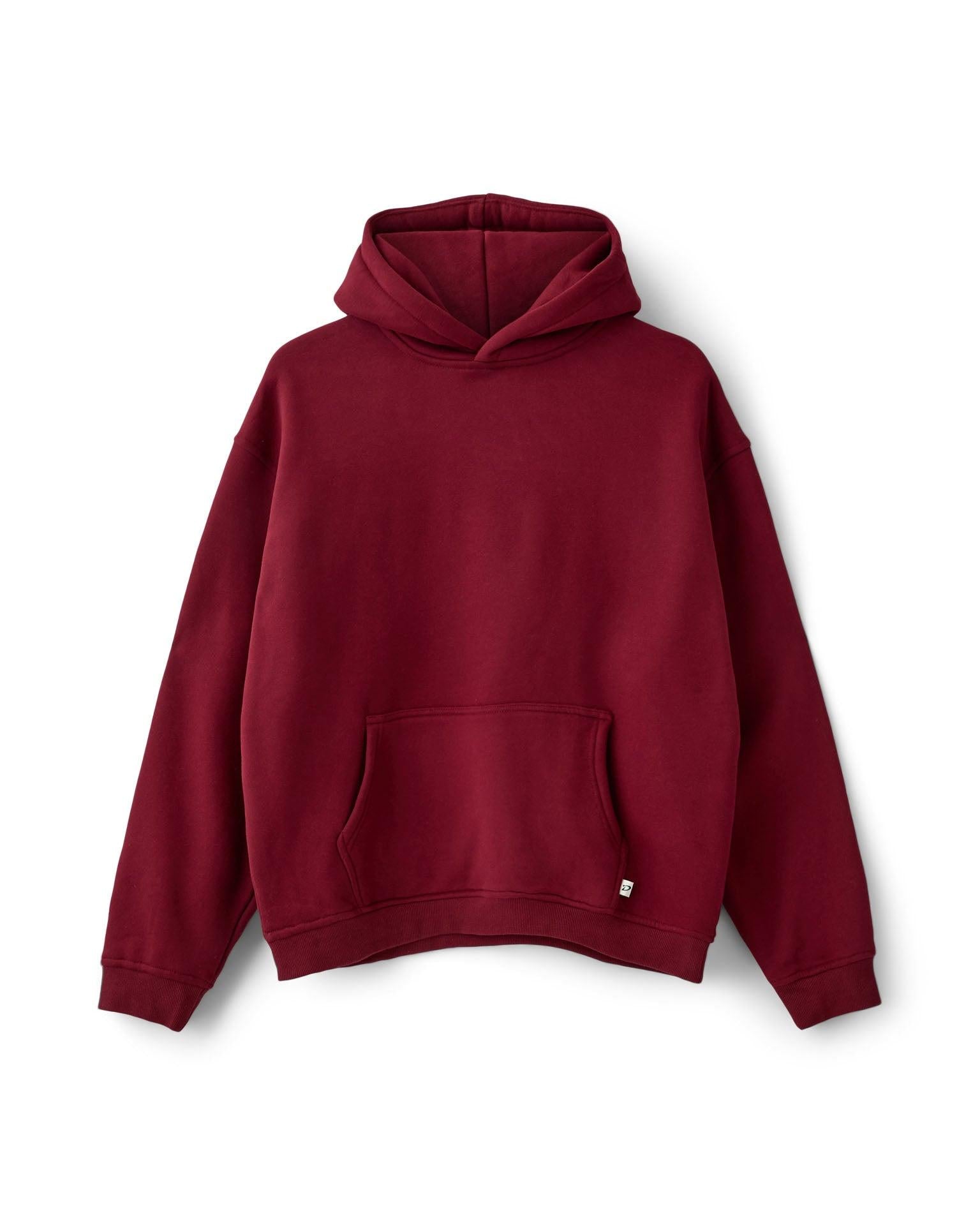 ASH SCUBA ZIP HOODIE - GREY