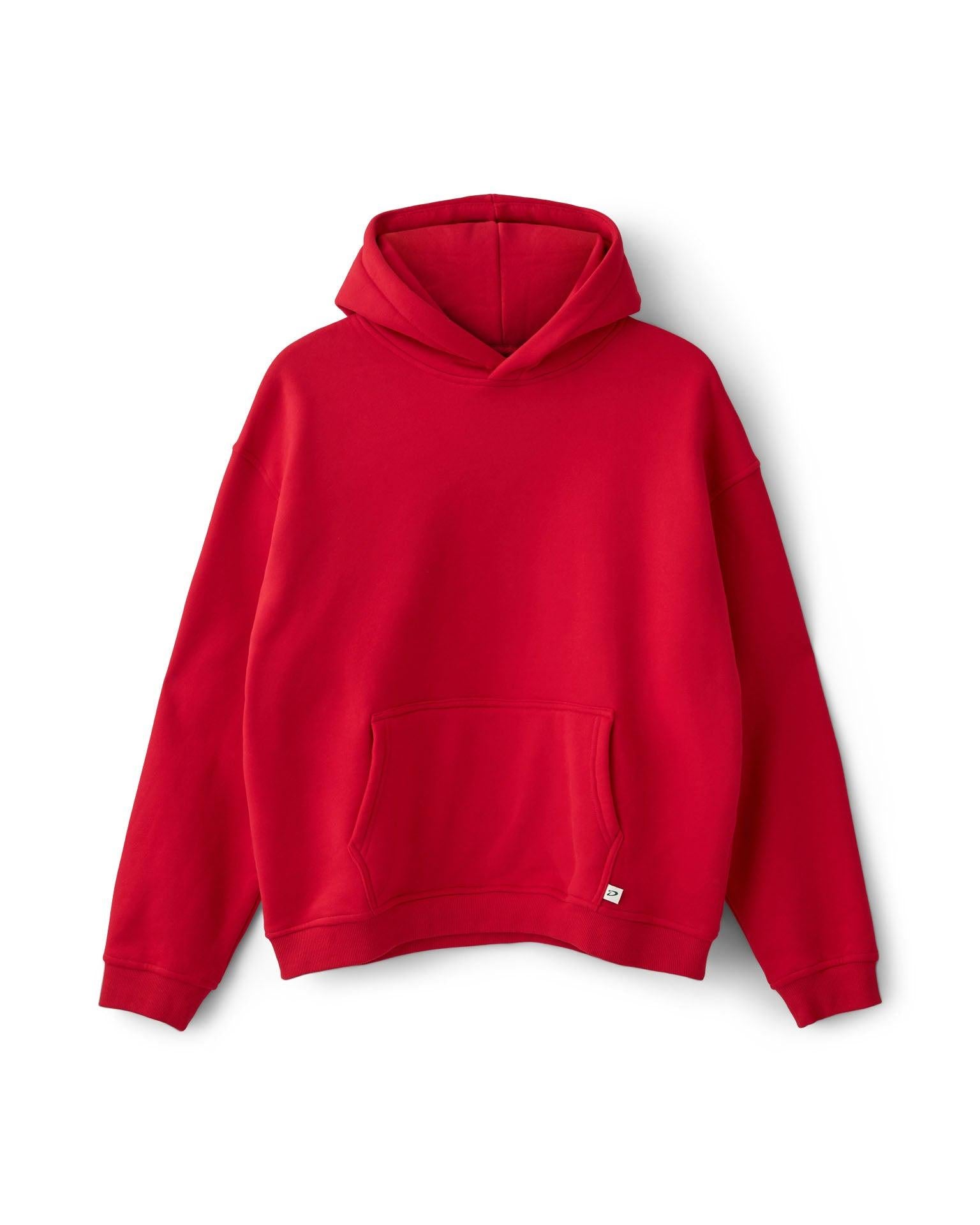ASH SCUBA ZIP HOODIE - GREY