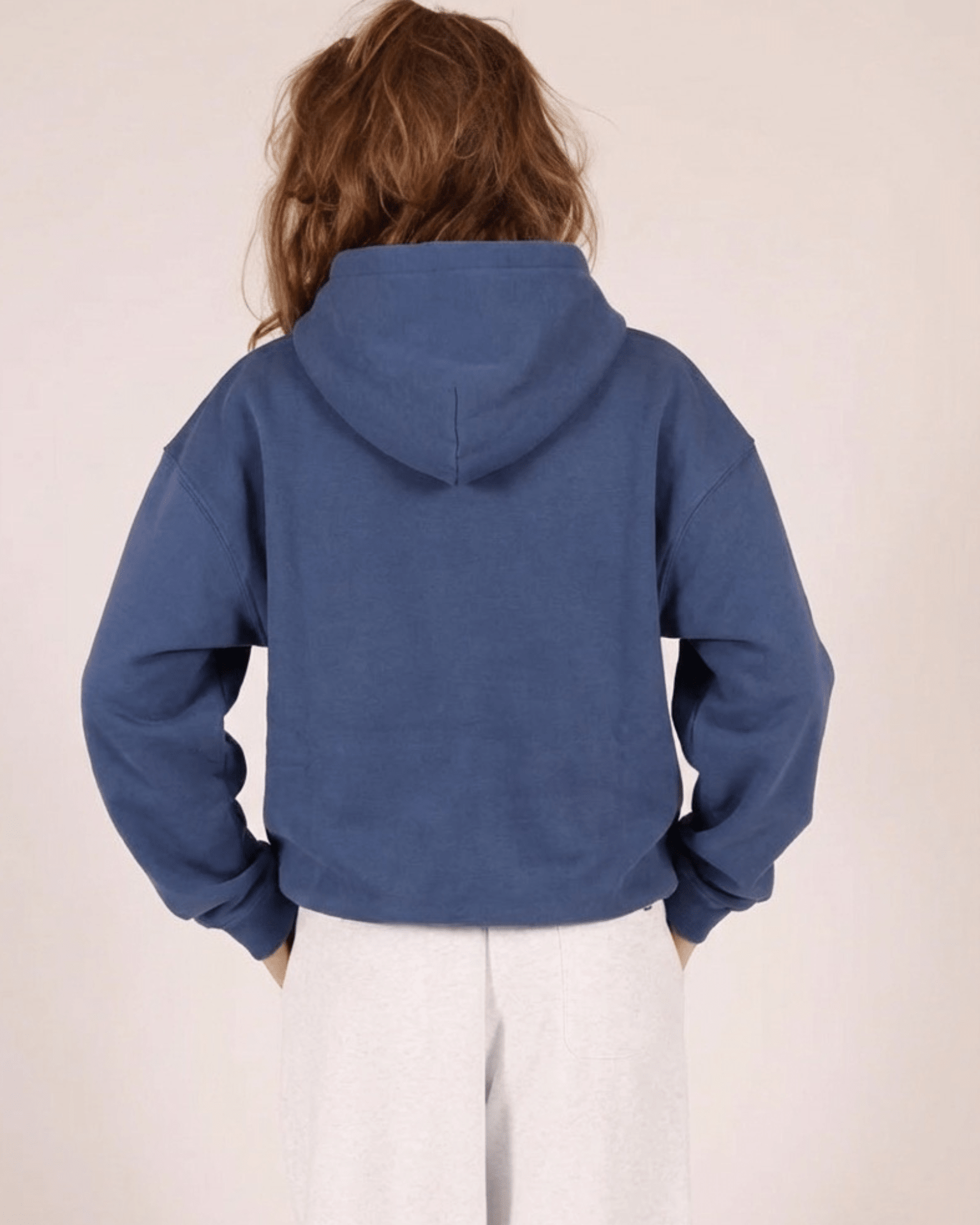 ASH SCUBA ZIP HOODIE - GREY