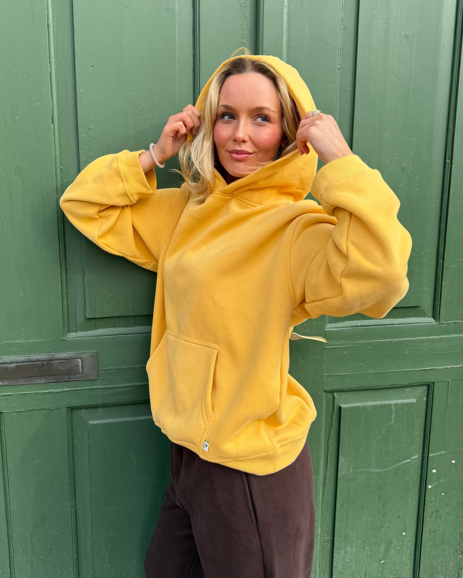 ASH SCUBA ZIP HOODIE - GREY