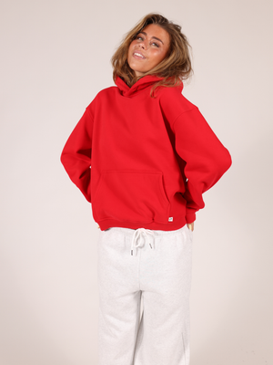 ASH SCUBA ZIP HOODIE - GREY