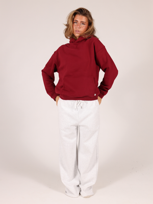 ASH SCUBA ZIP HOODIE - GREY