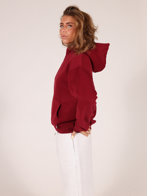 ASH SCUBA ZIP HOODIE - GREY