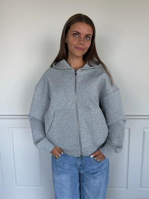 ASH SCUBA ZIP HOODIE - GREY