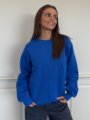 FRUIT SWEATSHIRT - GRAY