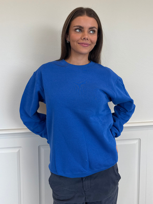 FRUIT SWEATSHIRT - GRAY