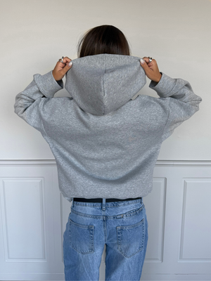 ASH SCUBA ZIP HOODIE - GREY