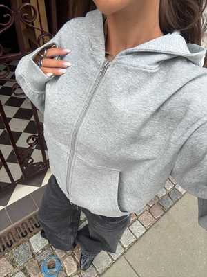 ASH SCUBA ZIP HOODIE - GREY