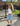 OLIVIA JORTS - LIGHT BLUE