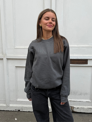 FRUIT SWEATSHIRT - DARK GRAY