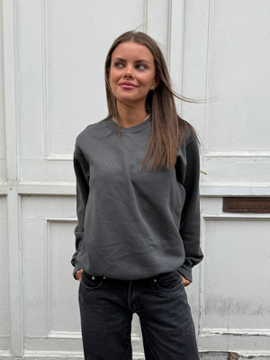 FRUIT SWEATSHIRT - DARK GRAY