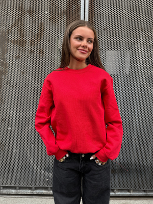 FRUIT SWEATSHIRT - RED