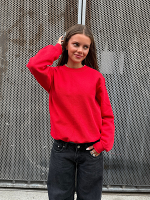 FRUIT SWEATSHIRT - RED