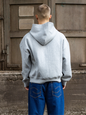 ASH SCUBA ZIP HOODIE - GREY