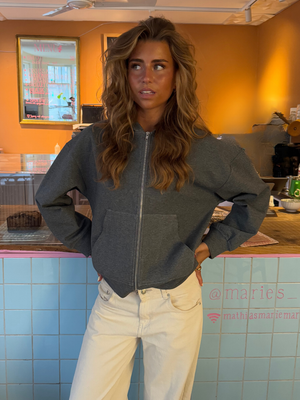 ASH SCUBA ZIP HOODIE - GREY