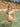 FILIPPA REVERSIBLE BIKINI SET - ARMY/CAMO - Dinvintageshop