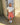 OLIVIA JORTS - CORAL - Dinvintageshop